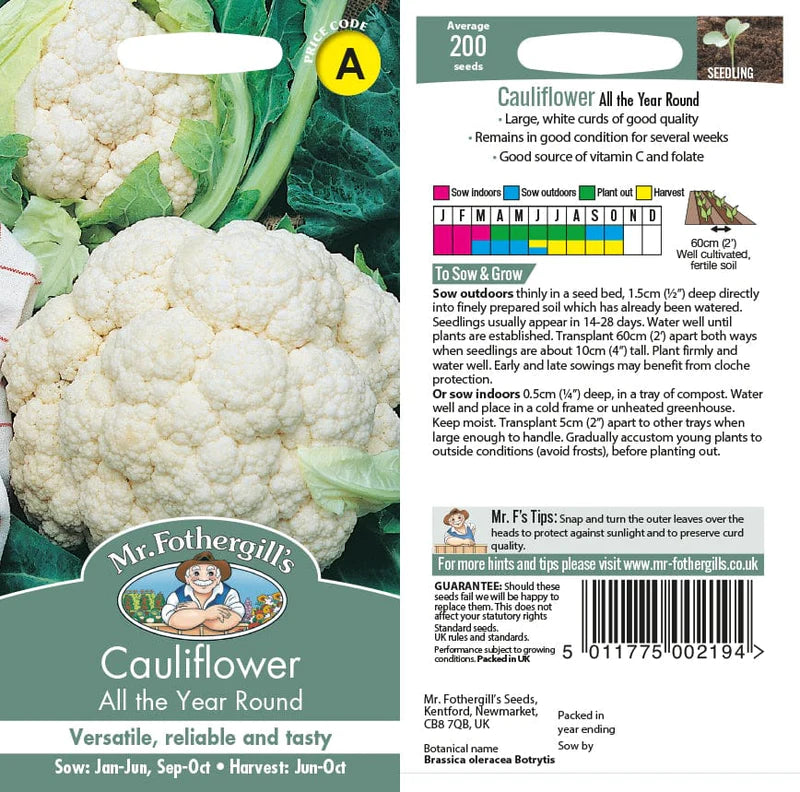 Cauliflower All The Year Round Seeds - O'Tooles Tools