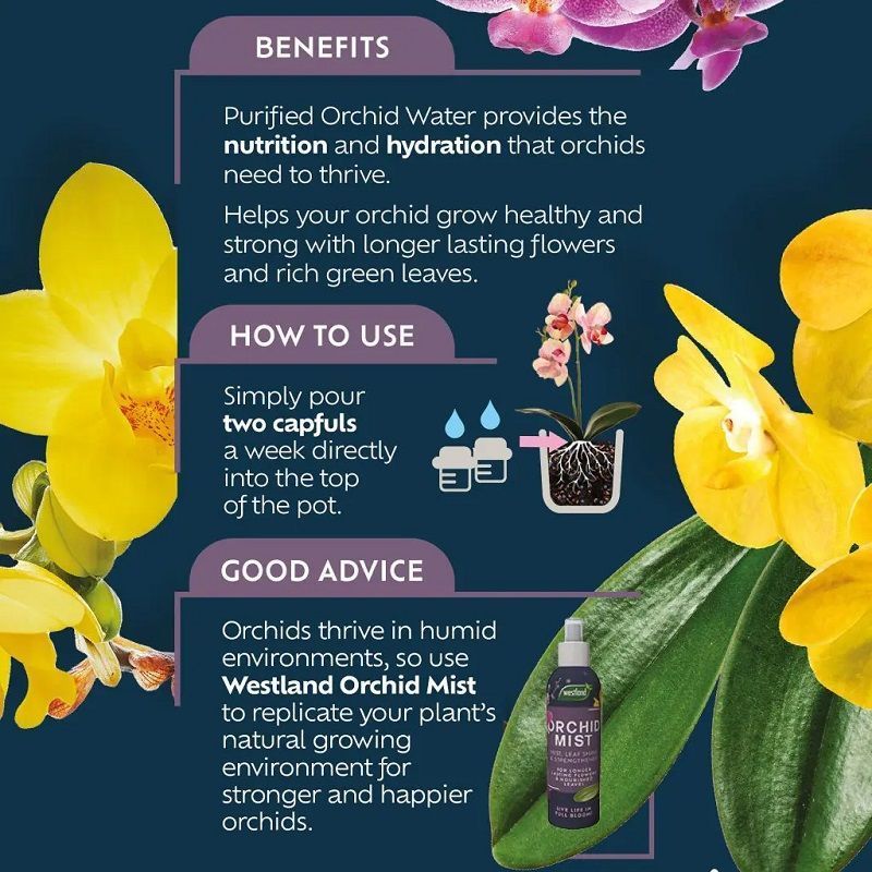 Orchid Water Ready to Use - 720ml