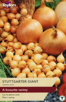 Taylors Bulbs - 50 Stuttgarter Giant - Onion Set