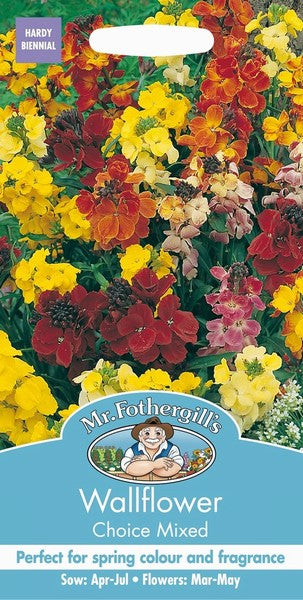 Wallflower Choice Mixed Seeds - O'Tooles Tools