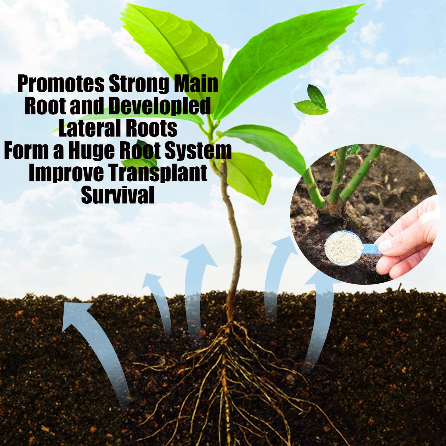 Rooting Powder - 75g