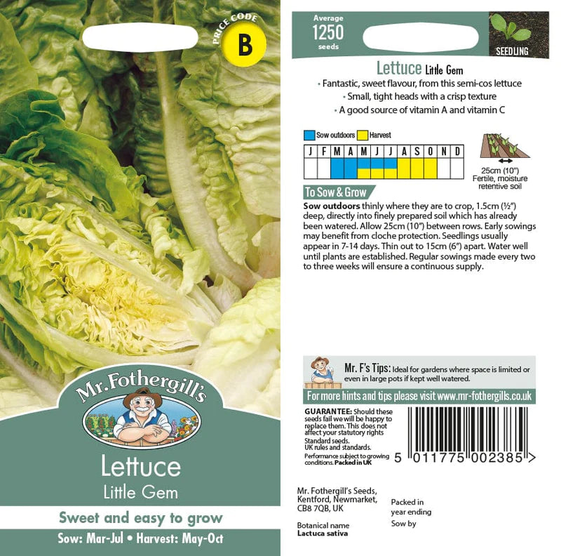 Lettuce Little Gem Seeds - O'Tooles Tools