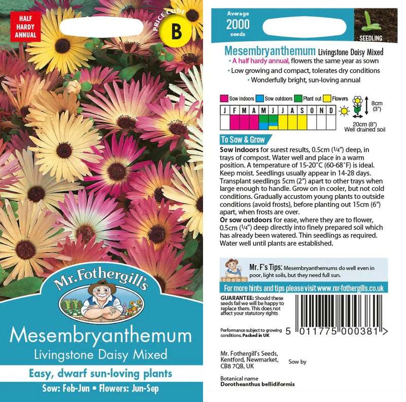Mesembryanthemum Livingstone Daisy Mixed Seeds - O'Tooles Tools