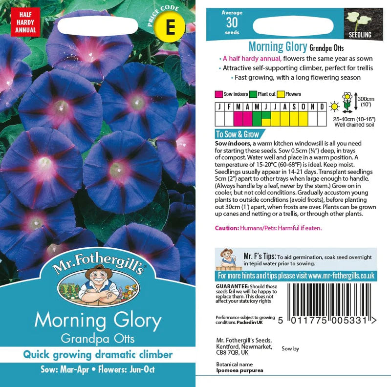 Morning Glory Grandpa Otts Seeds