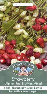 Strawberry (Alpine) White & Red Mixed - O'Tooles Tools