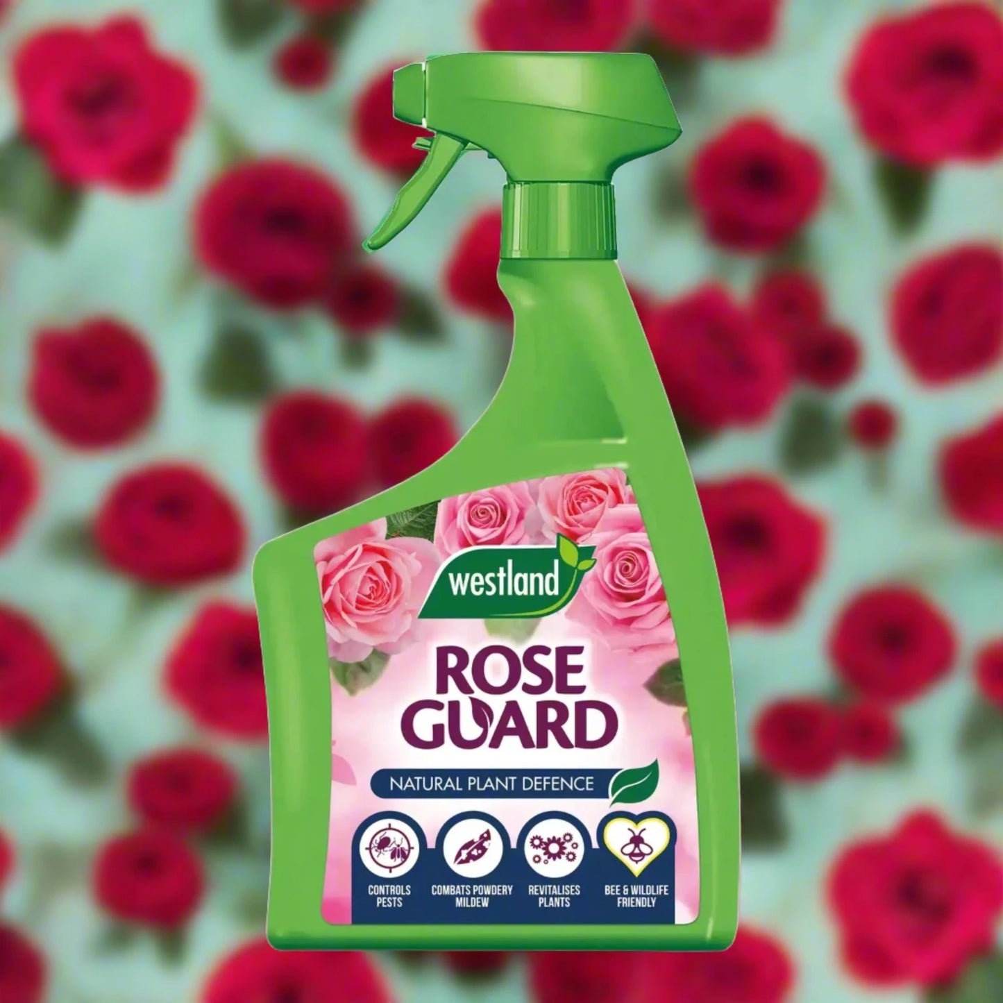 Westland Rose Guard 1L