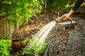 Gardening & pest control