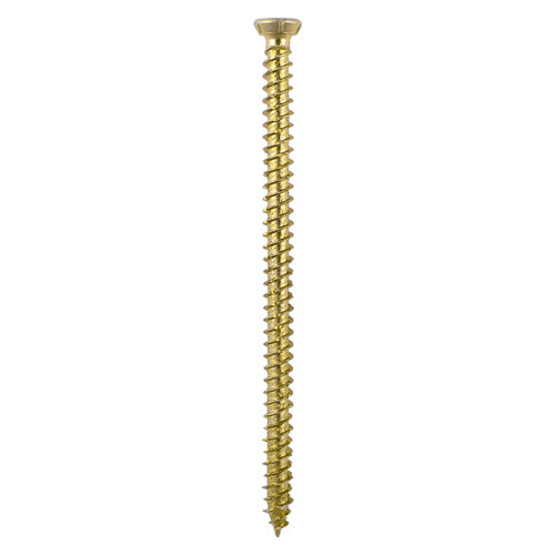 120mm x 7.5 Concrete Screws TX Head - 3pc