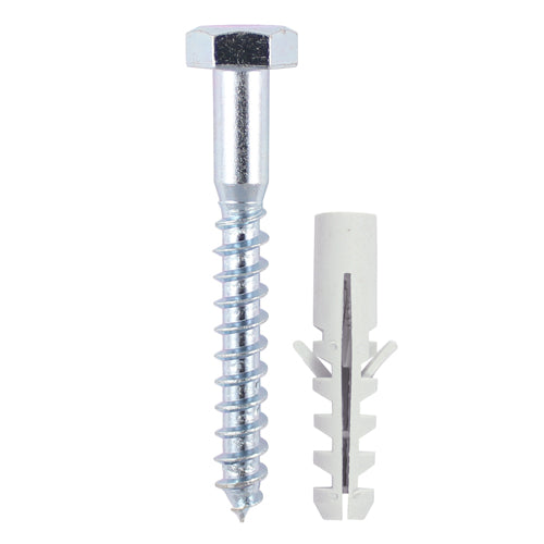 100mm x 8.0 Coach Screw & Nylon Plugs - 2pc