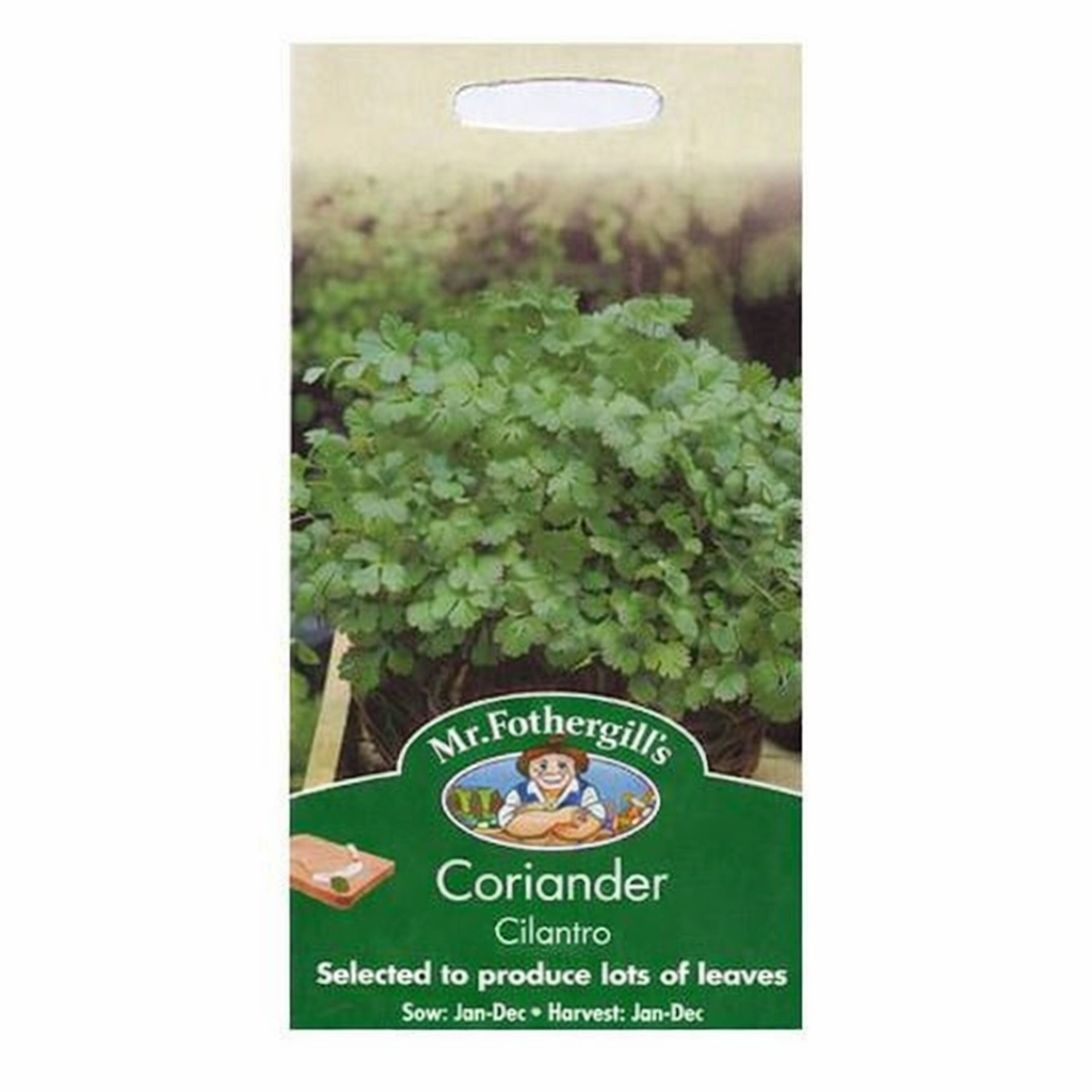 Coriander Cilantro