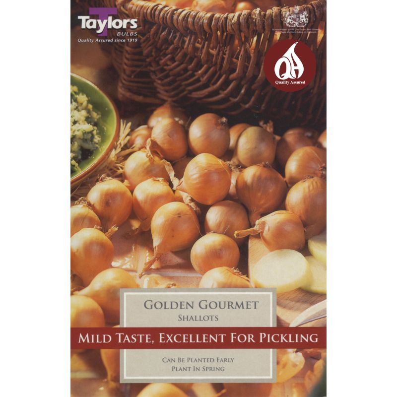 Taylors Bulbs - 12 Golden Gourmet Shallots - Onion Set