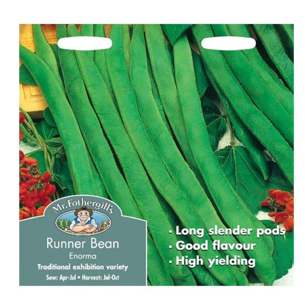 Runner Bean Enorma Seeds