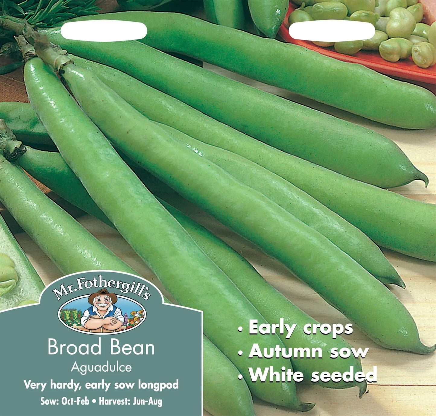 Broad Bean Aguadulce