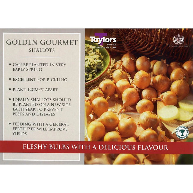 Taylors Bulbs - 10 Golden Gourmet Shallots - Onion Set - O'Tooles Tools