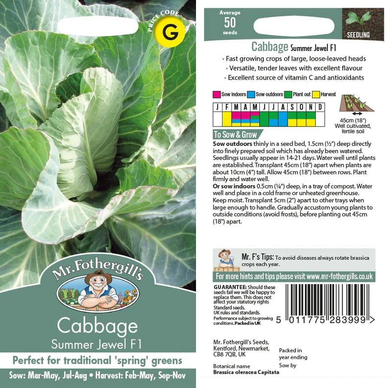 Cabbage Summer Jewel F1