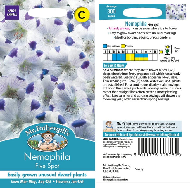 Nemophila Five Spot