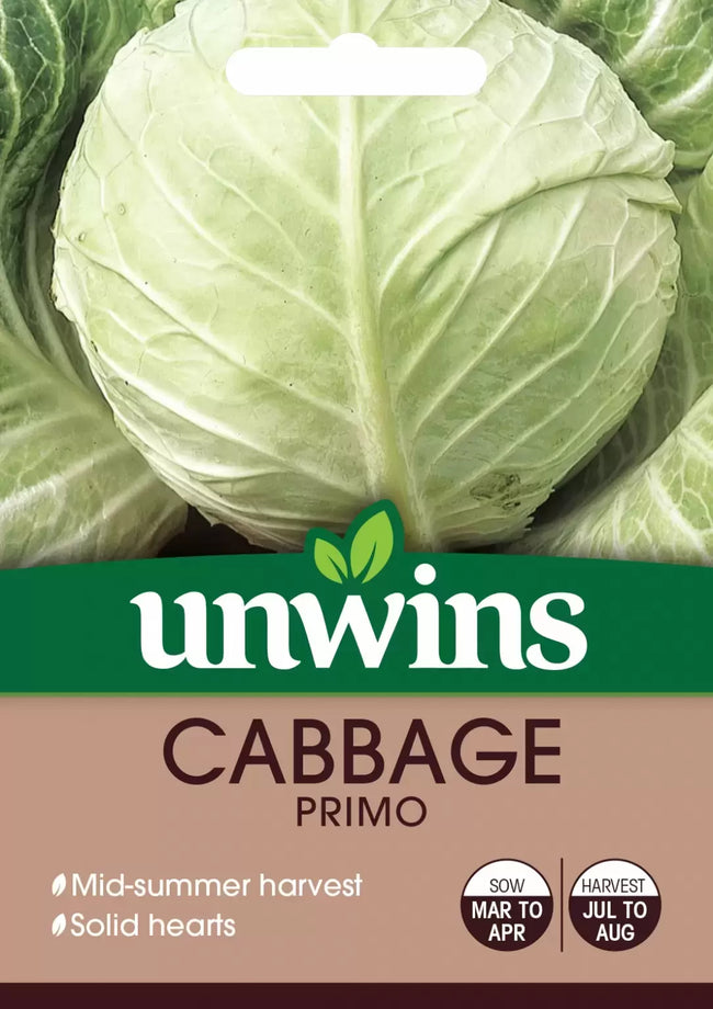 Cabbage Primo