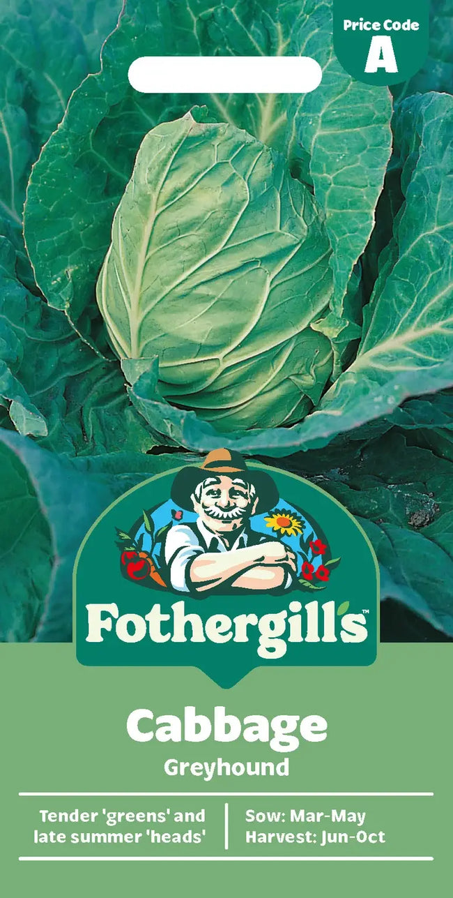 Cabbage Greyhound