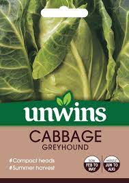 Cabbage Greyhound