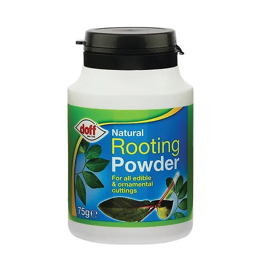 Andol For Rooting Rooting Powder - 75g – O'Tooles Tools