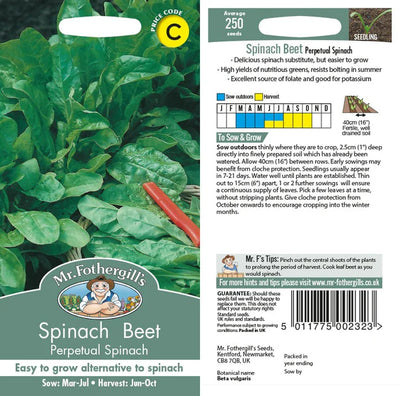 Spinach Beet (perpetual Spinach) - O'Tooles Tools
