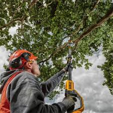 Dewalt XR Brushless Pole Saw 18V - Bare Unit