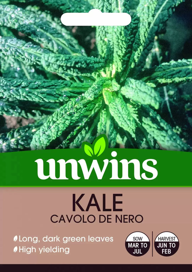 Kale Cavolo de Nero