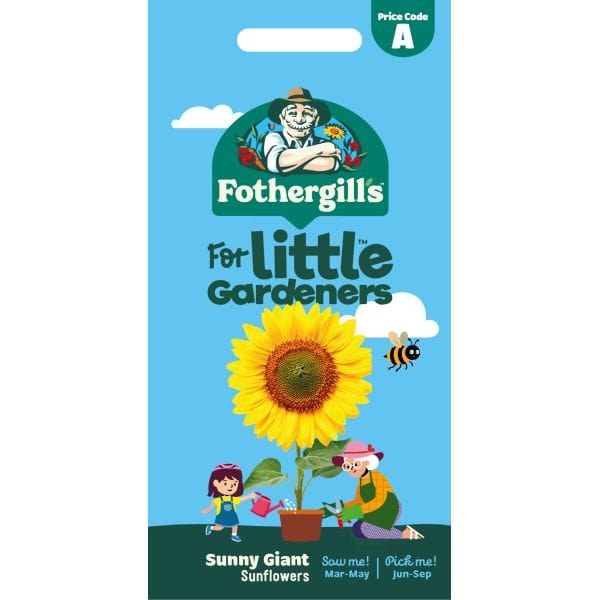 Little Growers Sunny Giant Sunflower - O'Tooles Tools