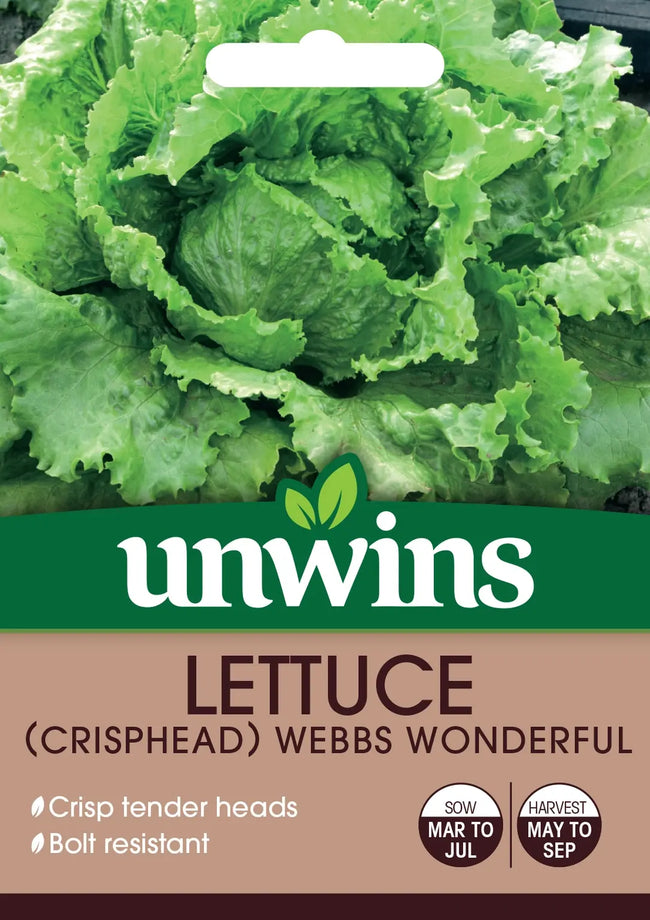 Lettuce (Crisphead) Webbs Wonderful