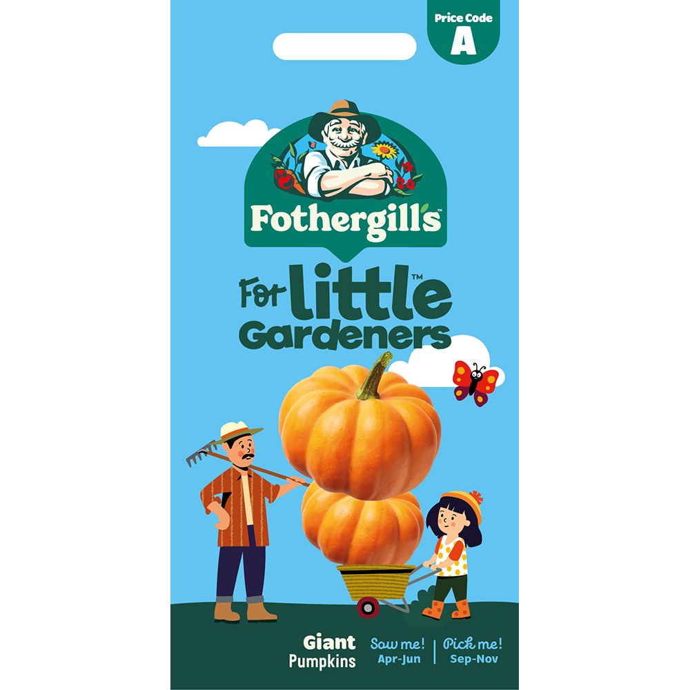 Little Growers Giant Pumpkins