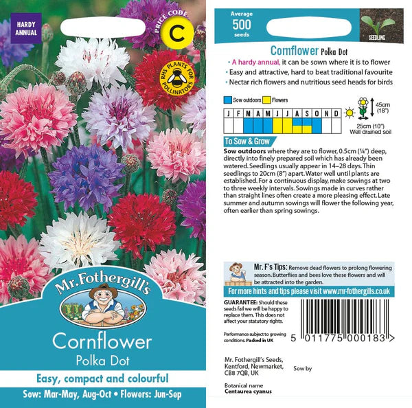 Cornflower Polka Dot