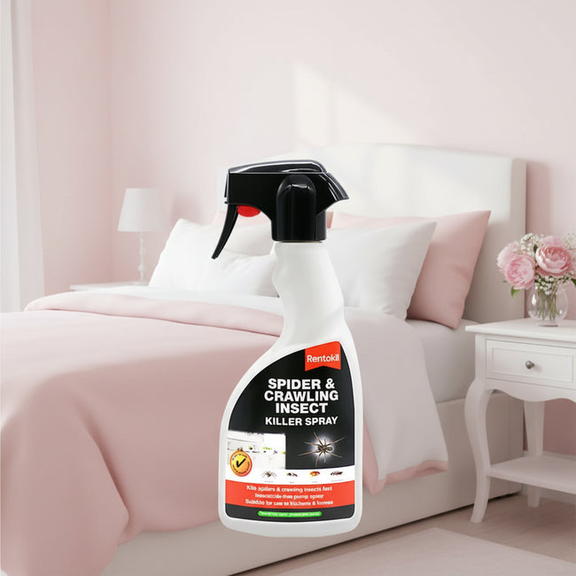 Rentokil Spider & Crawling Insect Killer Spray 500ml