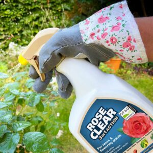 Rose Clear 3 In 1 action - 800ml