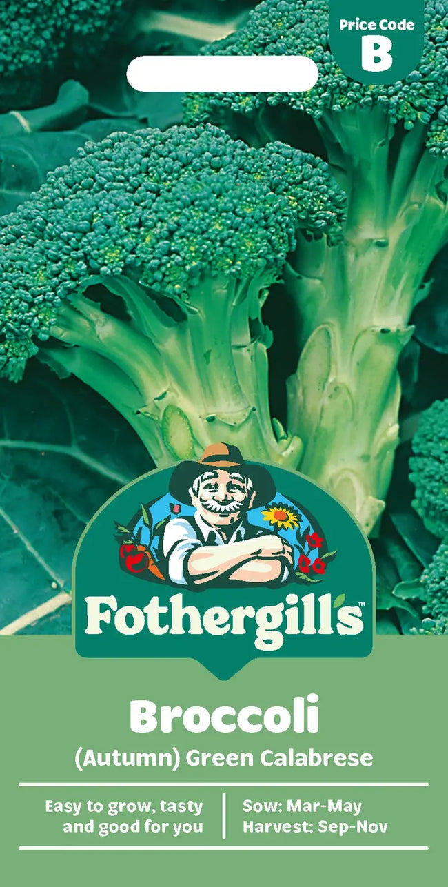 Broccoli (Autumn) Green Calabrese - O'Tooles Tools
