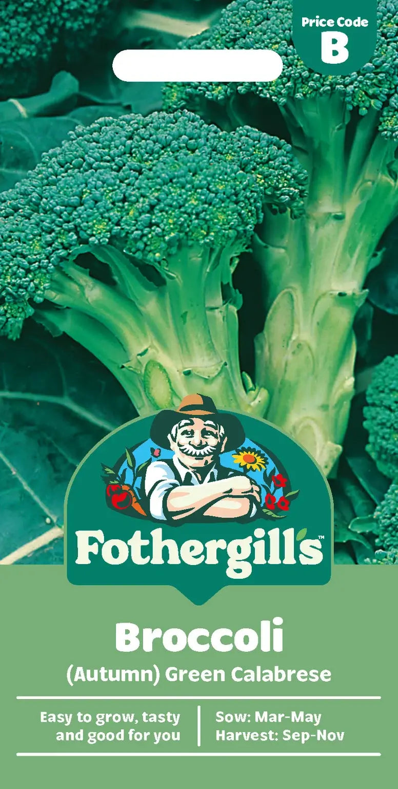 Broccoli (Autumn) Green Calabrese - O'Tooles Tools