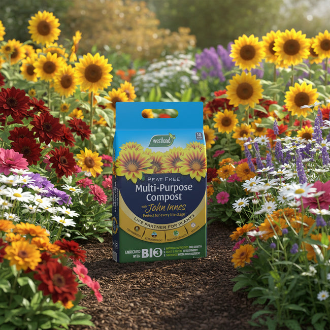 John Innes Peat-free Multi-purpose Compost 10L
