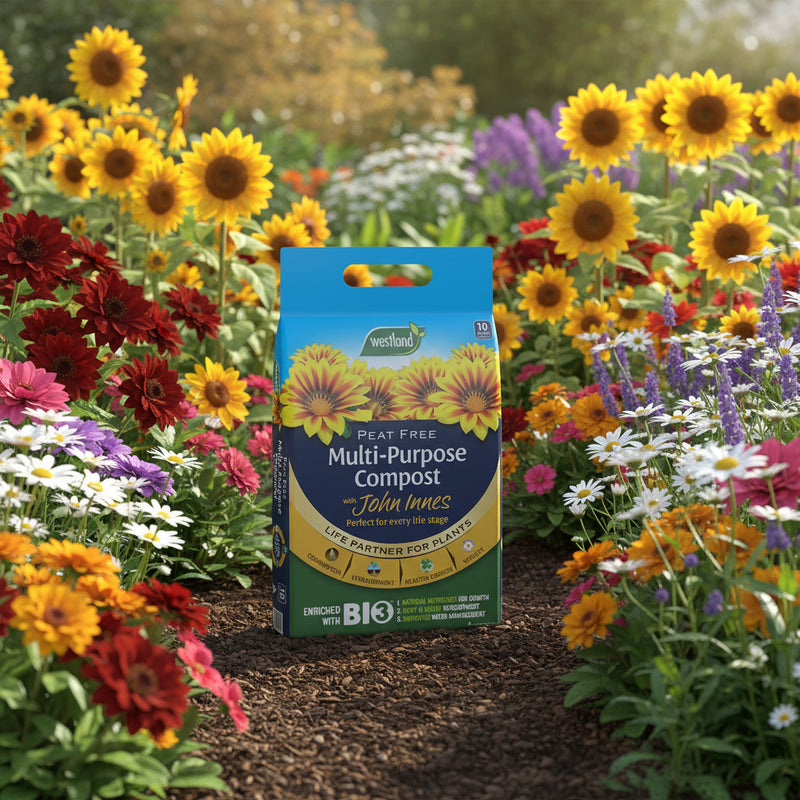 John Innes Peat-free Multi-purpose Compost 10L - O'Tooles Tools