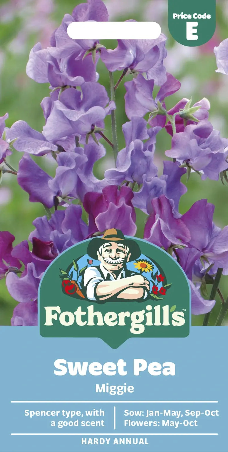 Sweet Pea Miggie Seeds - O'Tooles Tools