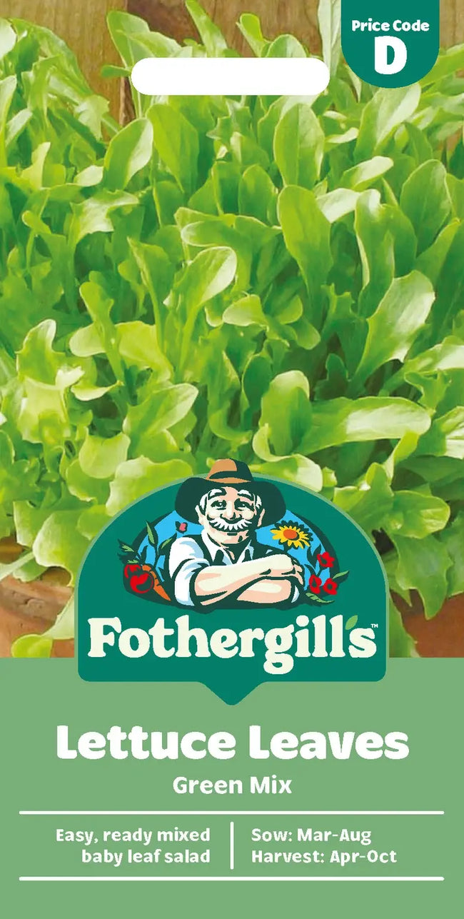 Lettuce Leaves Green Mix Seeds