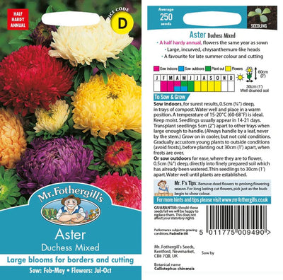 Aster Duchess Mix - O'Tooles Tools
