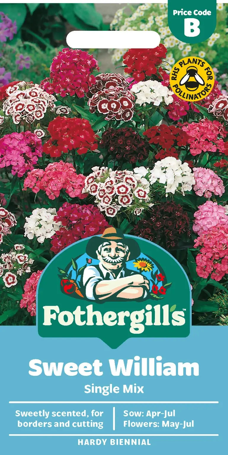 Sweet William Single Mix Seeds - O'Tooles Tools