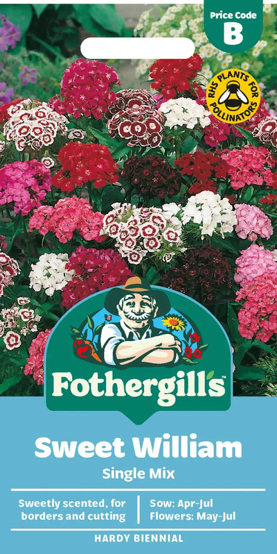 Sweet William Single Mix Seeds - O'Tooles Tools
